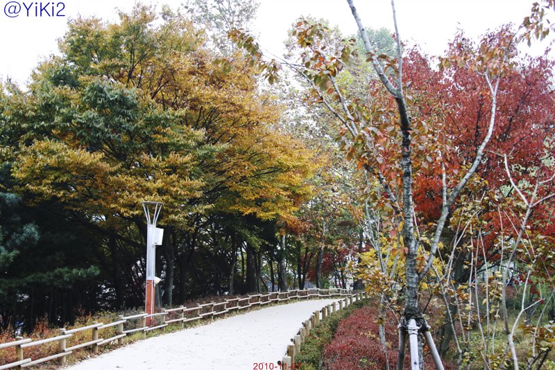 서서울호수공원 2010/11 Lake Park West Seoul by james.lee