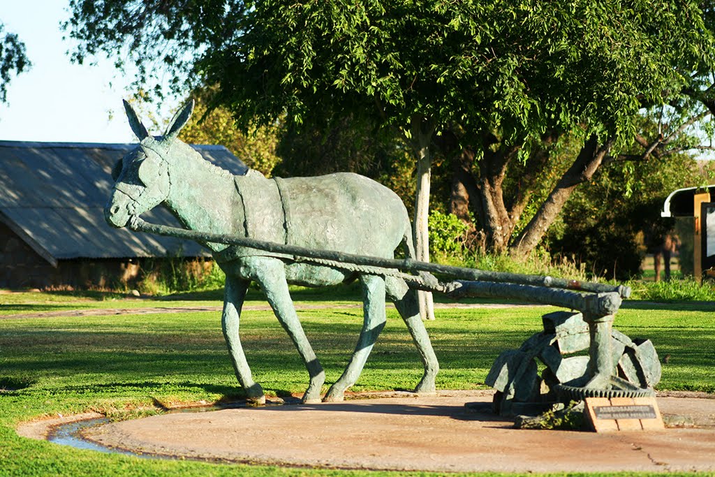 Donkey statue in Upington by Daan Prinsloo