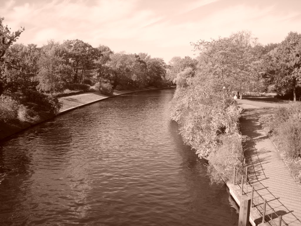 Fluss in Tiergarten by Hossam Alaid