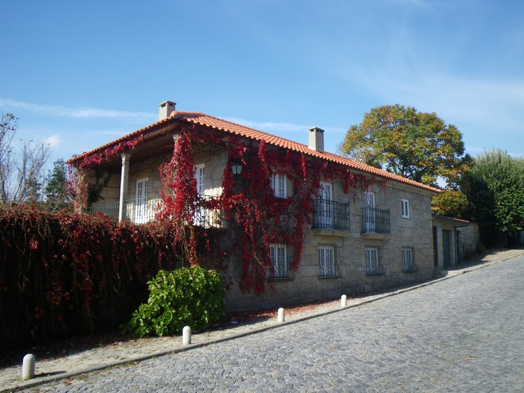 Casa con enredaderas by edoarado