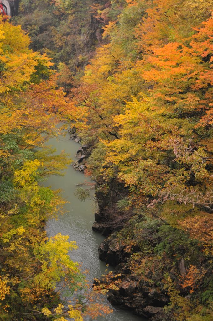 Ohishi Dam、Sekikawa Tawn 関川村　大石ダム右岸公園 by nyanta2030