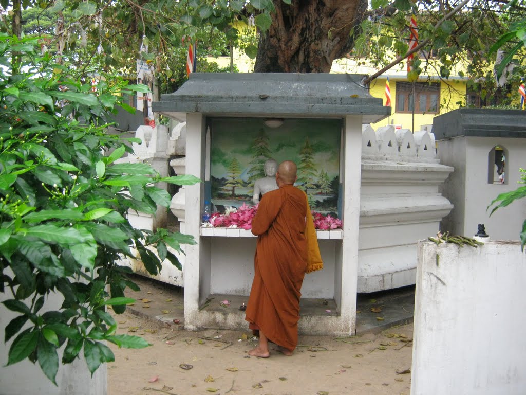 Sri Naga Vihara - International Buddhist Centre (ஸ்ரீ நாக விகாரை - சர்வதேச பௌத்த நிலையம்) by Regunathan Umapathy