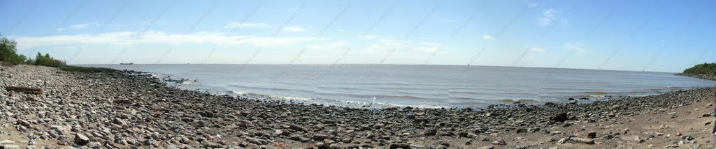 Octubre de 2010 - Reserva Ecológica Costanera Sur / Río de la Plata - Vista desde el Norte hacia el Sur by Luis Acosta