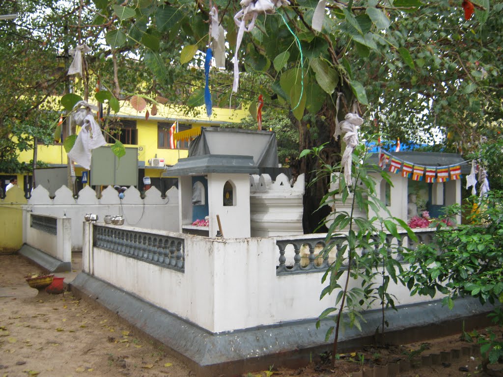 Sri Naga Vihara - International Buddhist Centre (ஸ்ரீ நாக விகாரை - சர்வதேச பௌத்த நிலையம்) by Regunathan Umapathy