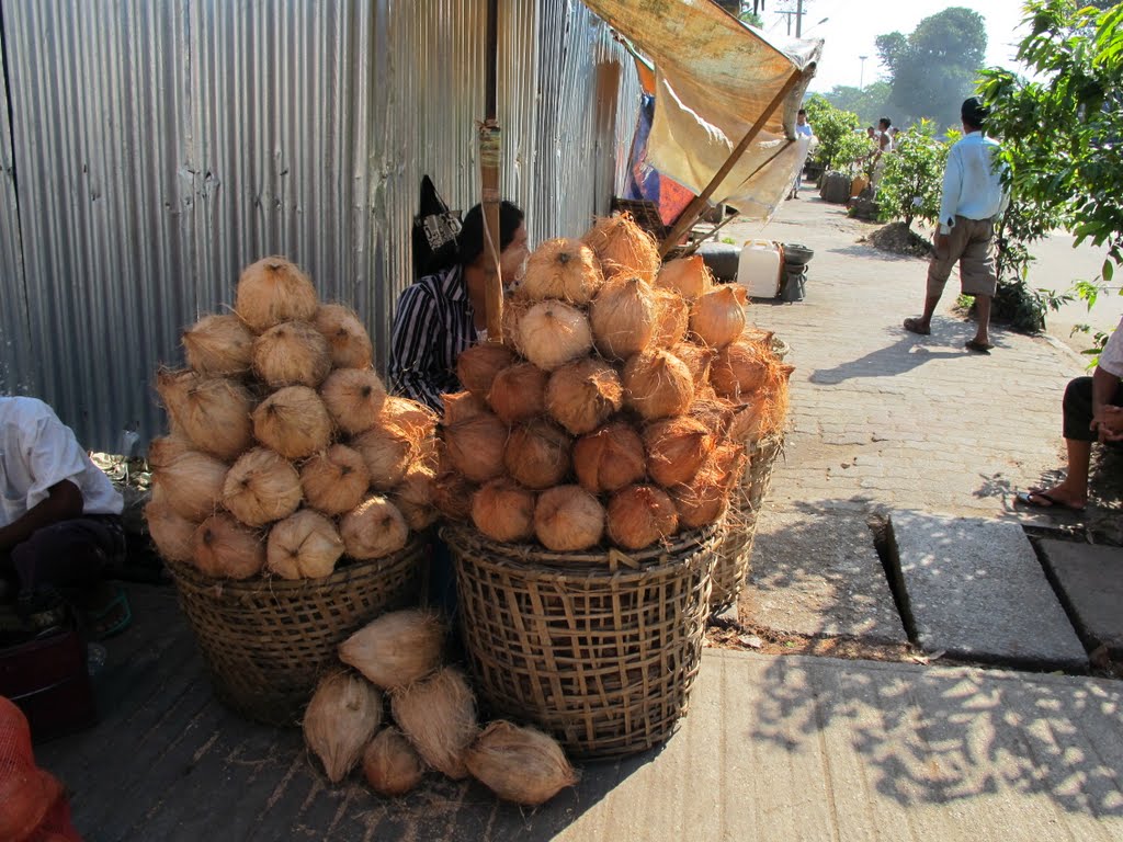 Coconuts in A Yangon Market - Dừa ở Yangon by Che Trung Hieu