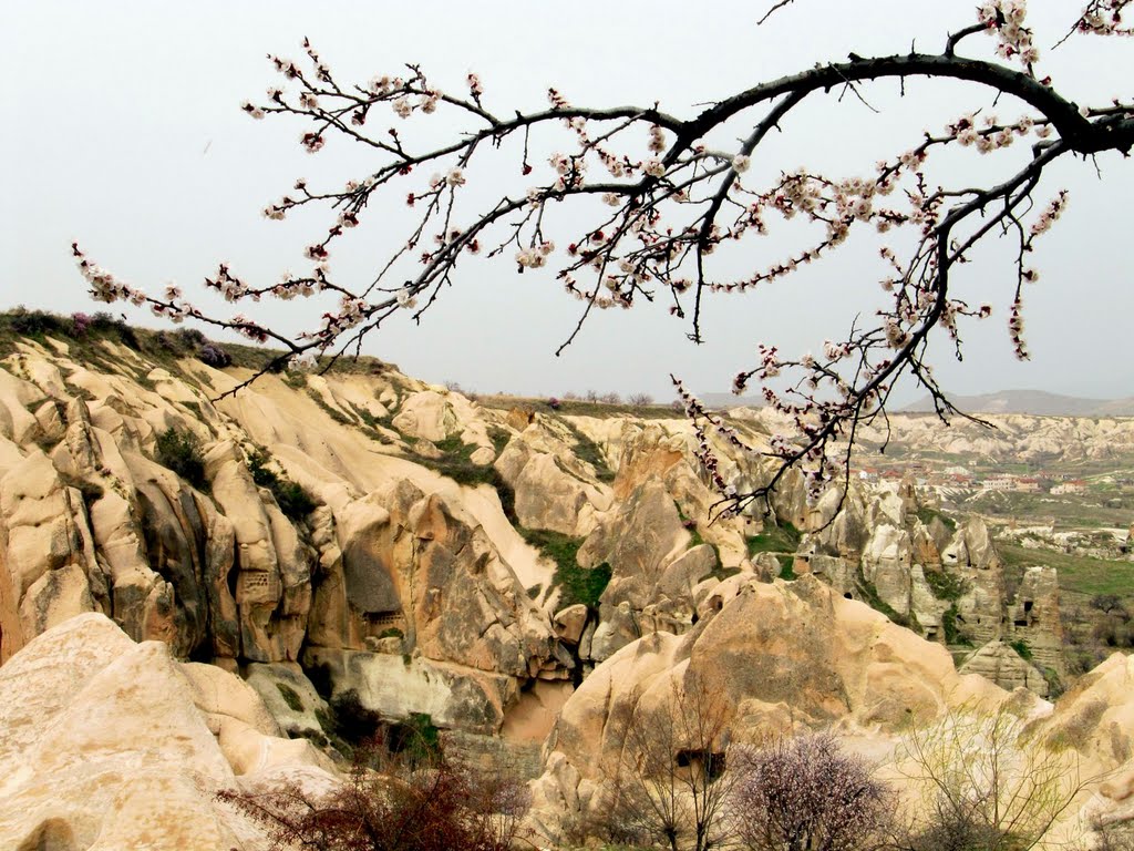 Goreme Open Air Museum by Peter F C Mok