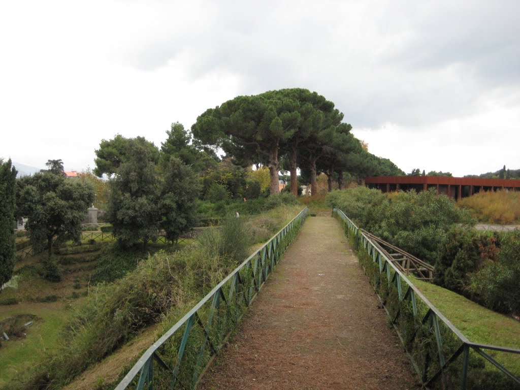 07-11-10 - Pompei, sentiero panoramico presso la Casa dei Fuggiaschi by Arciere82