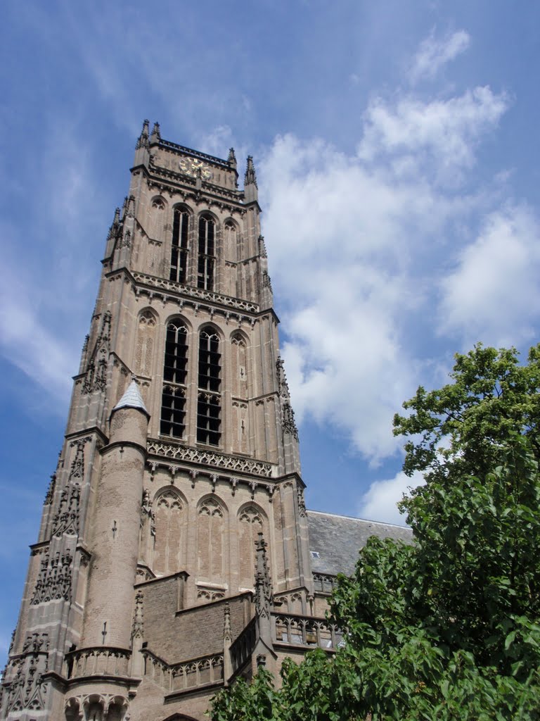 Sint Maartenskerk, Zaltbommel, The Netherlands by orientmystique