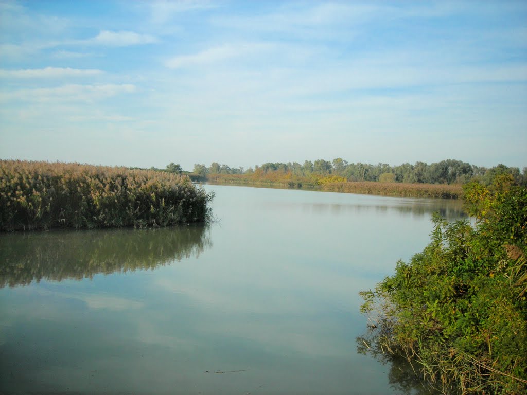 Oasi di Ca'Pisani, Parco Veneto del Delta del Po by Luca Doria