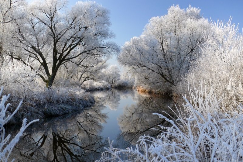 Cold morning by © alfredschaffer