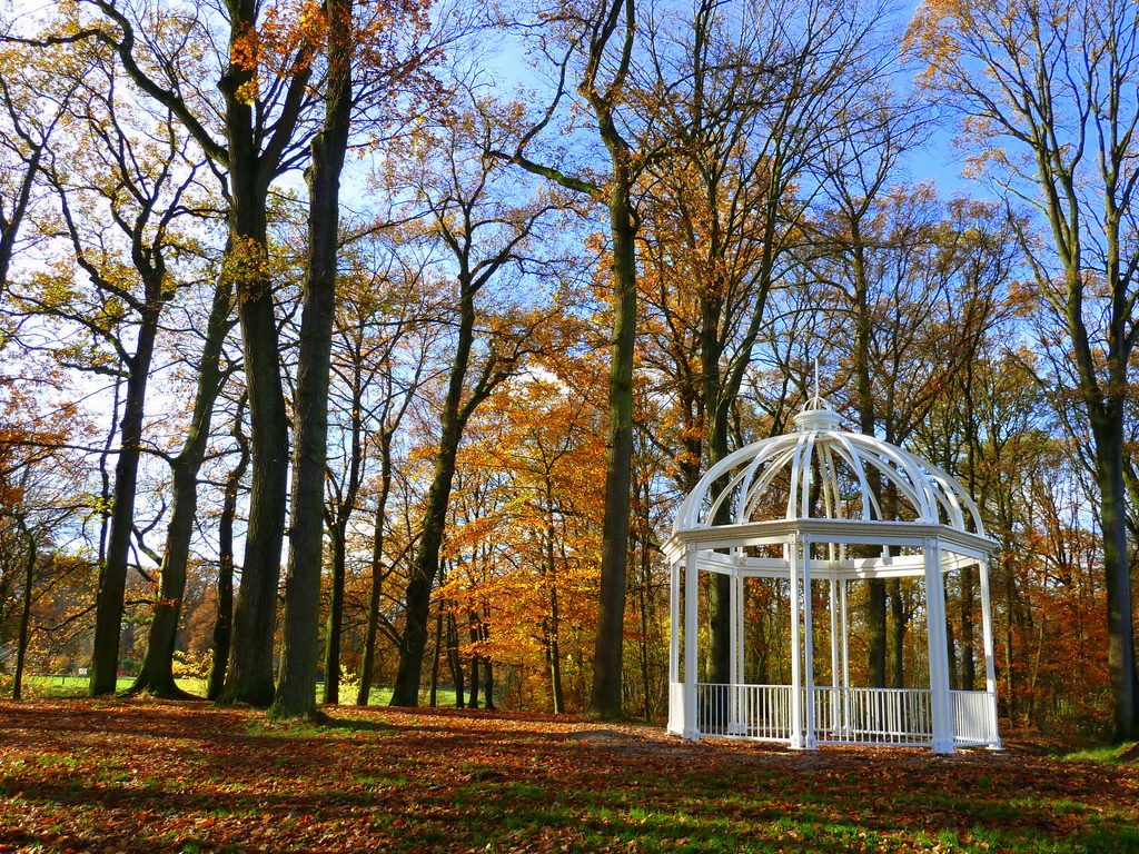 Herfst in het park (c) Kees Groeneveld by kgroenev