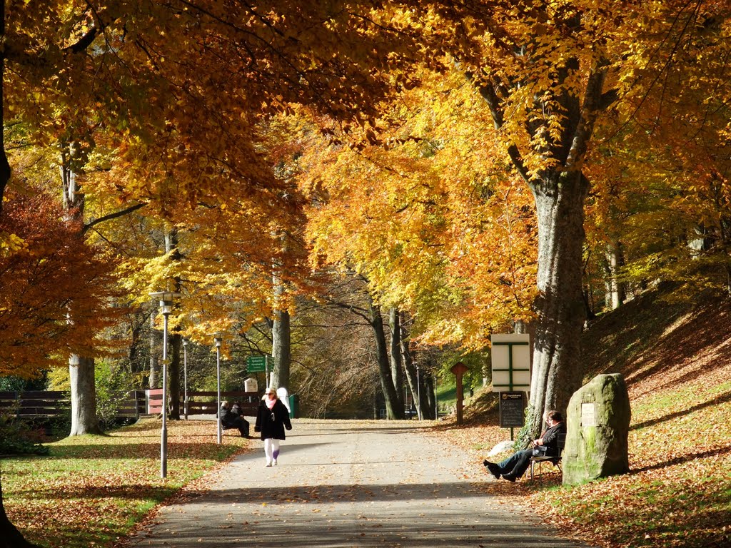 Bad Wildbad, Herbst im Kurpark by RDZfds