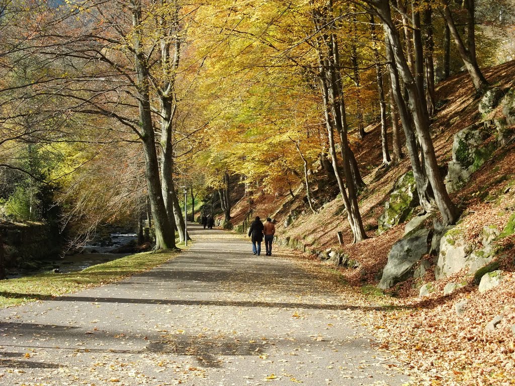 Bad Wildbad, Herbst im Kurpark by RDZfds