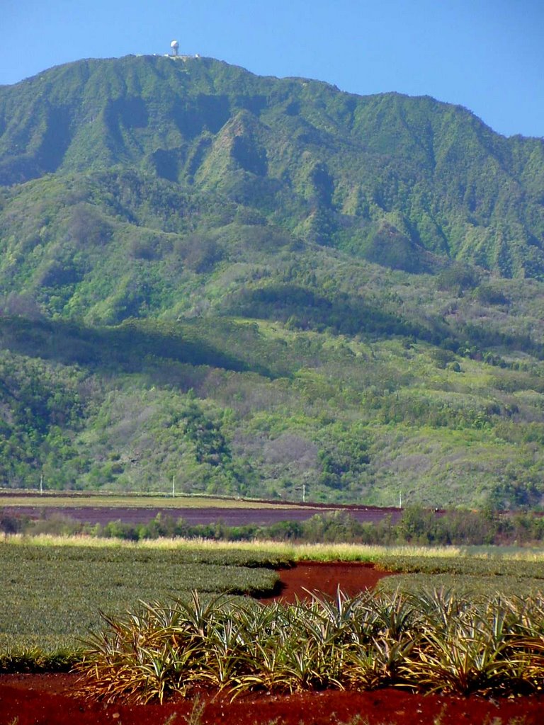 Central O'ahu by Jon-Paul deLange