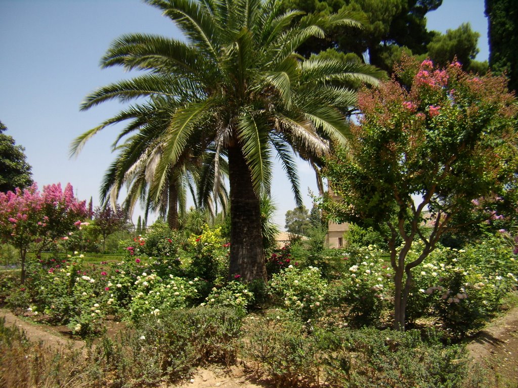 Realejo-San Matias, Granada, Spain by sophie25