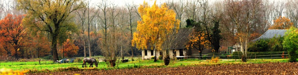 Brabant landscape by © cvandermeijden