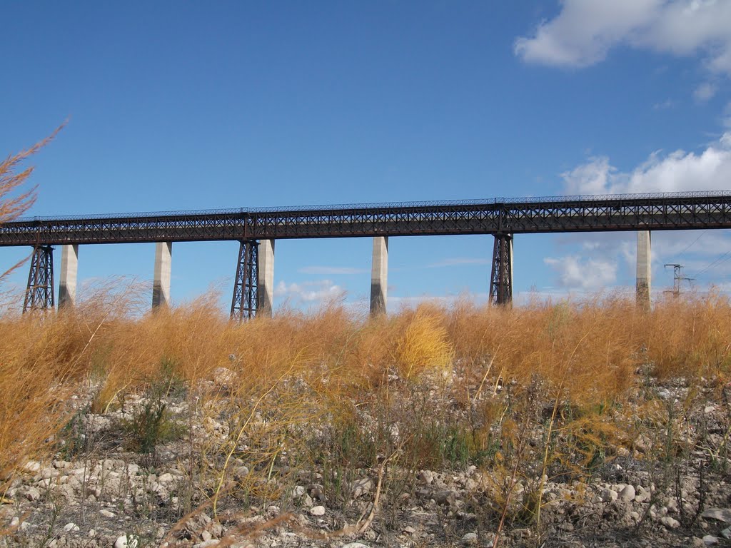 Viaducto del Hacho, con pies de hierro sobre el amarillo de las esparragueras. Noviembre de 2010 by viajeroandaluz