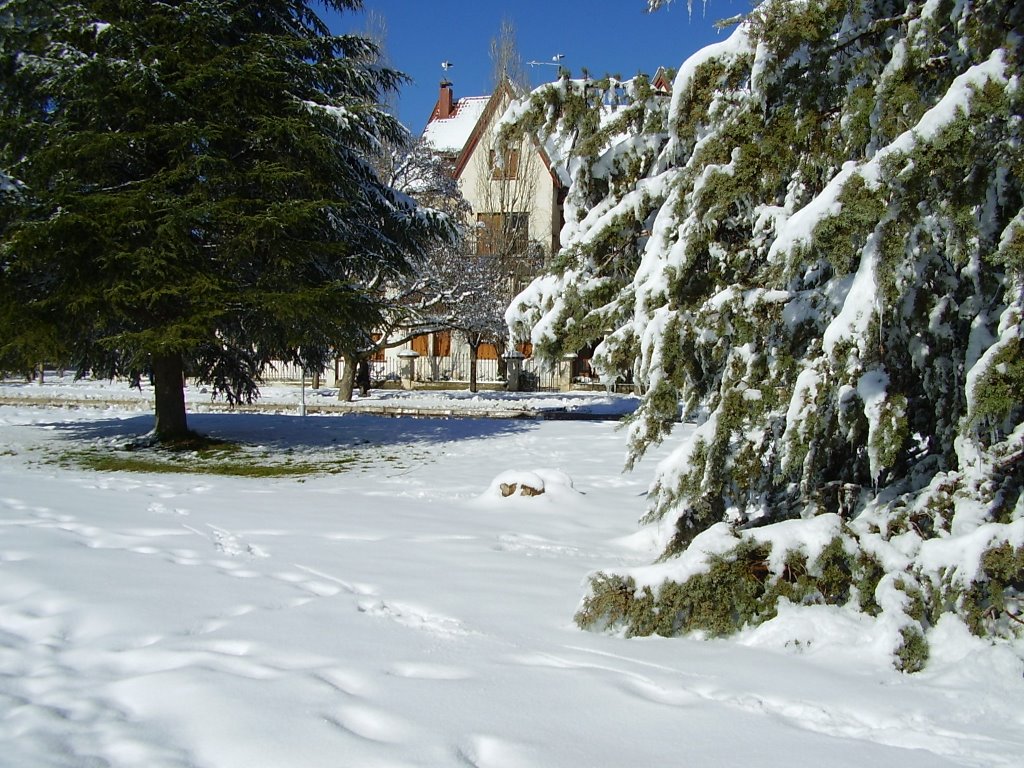 One of the most beautiful cities in Morocco : Ifrane by elakramine