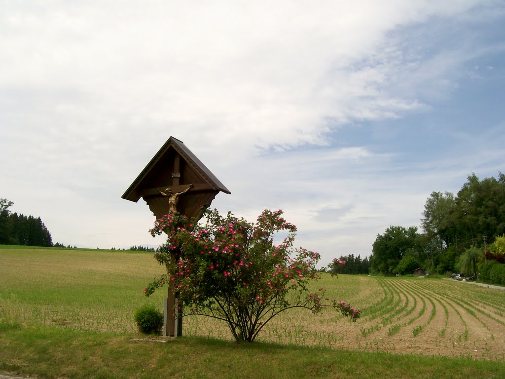 Feldkreuz bei Holzhausen by foto-hermann