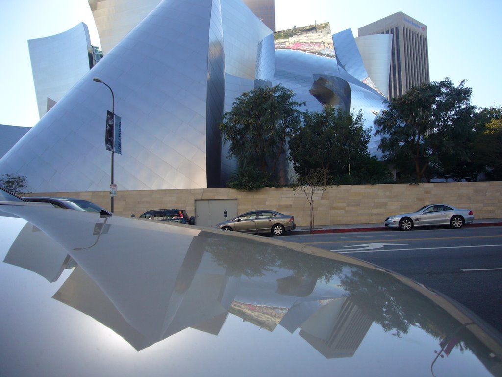 Walt Disney Concert Hall, LA by Martijn Marijnen