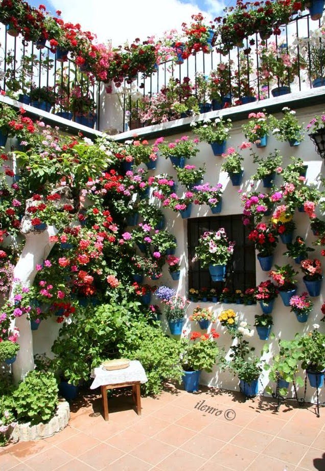 Casa-Patio de la calle Tinte nº9 by Sergio Gil Lebrero