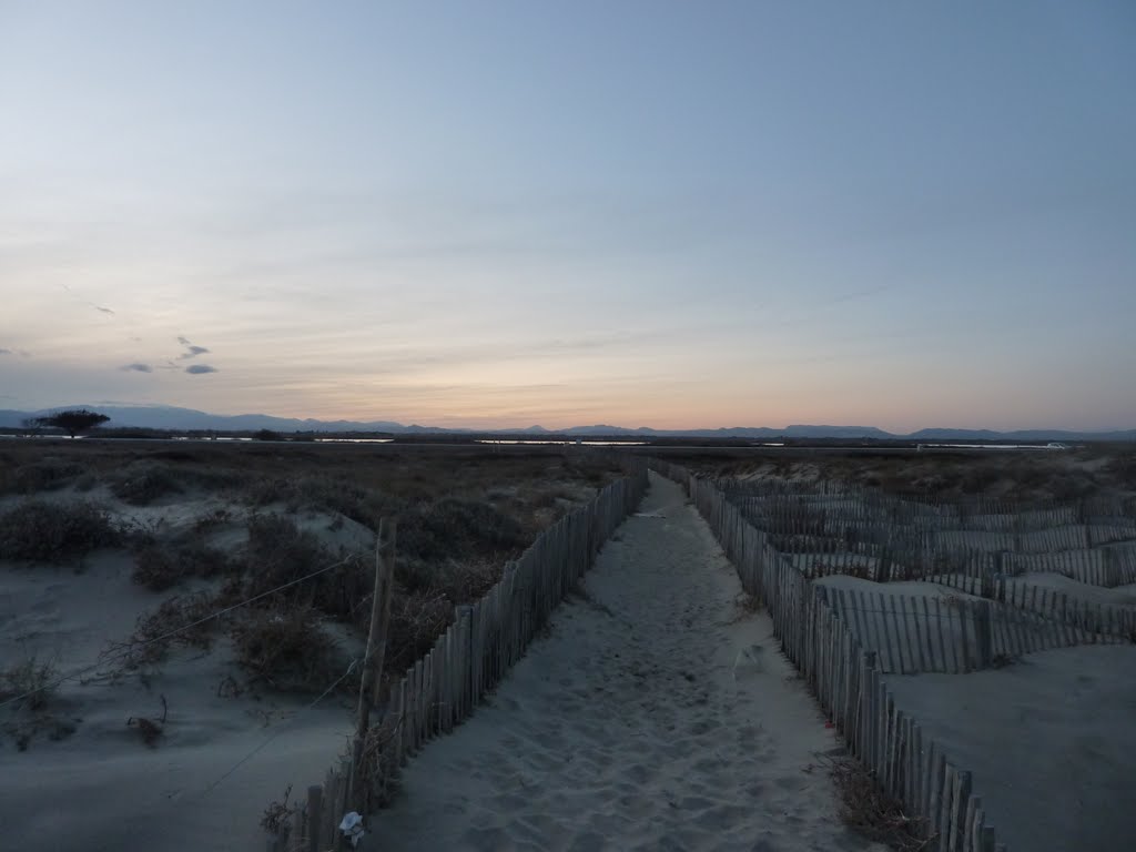 Sandy Road by Eanna Grealish