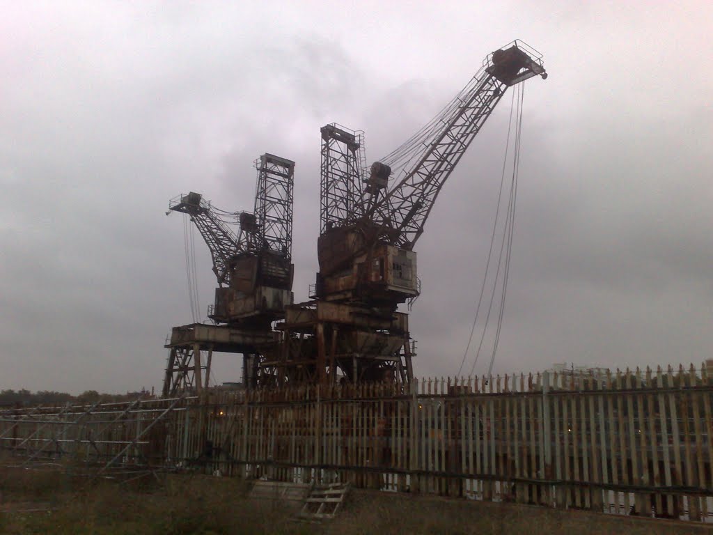 Thames Cranes Battersea by bcfczuluarmy