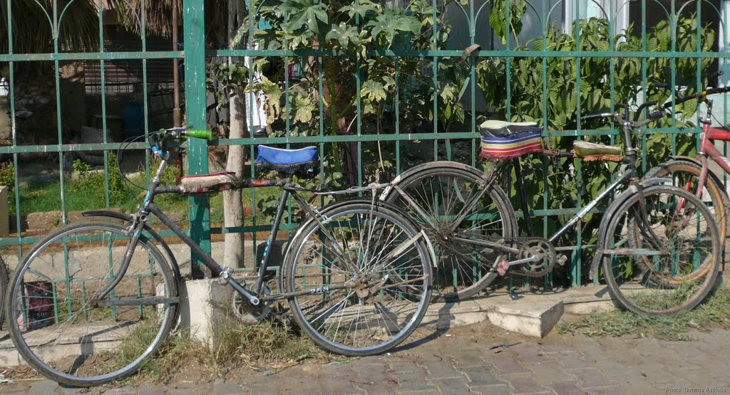 Lovely retro bicycles by cycle way