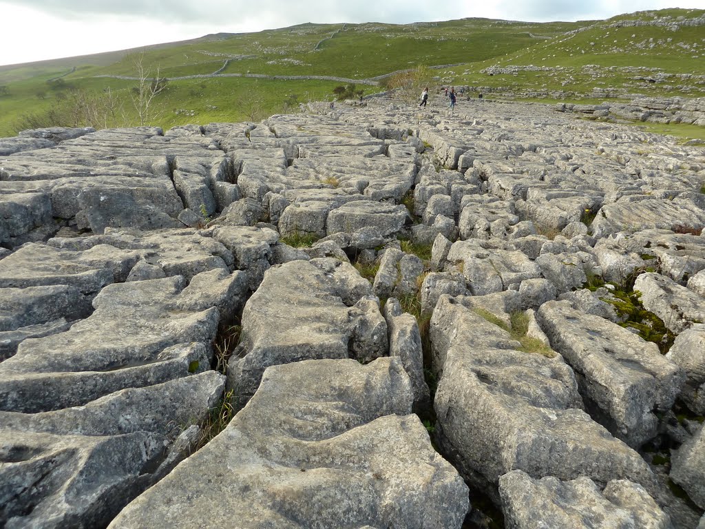 Limestone Pavement by salderso