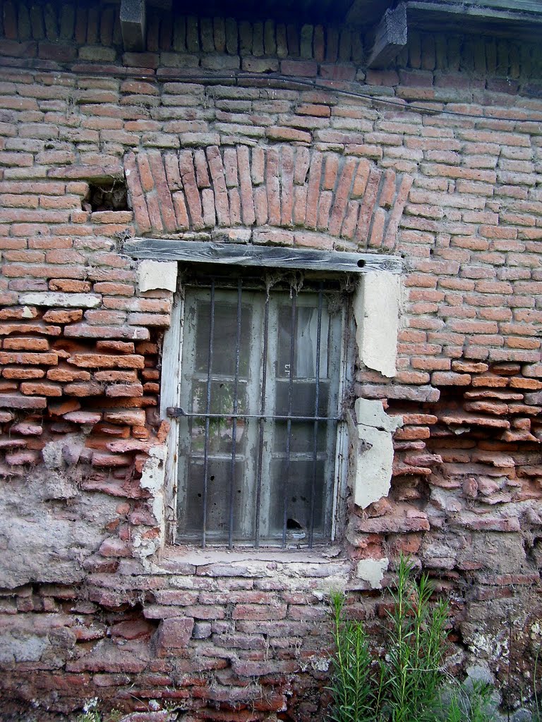 (AnyG) la ventana del almacen by anyG