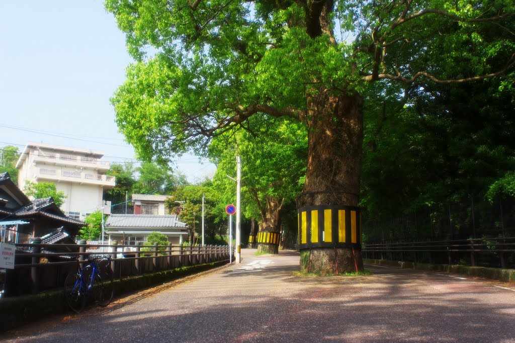 長崎諏訪神社の六角道 by むねあき