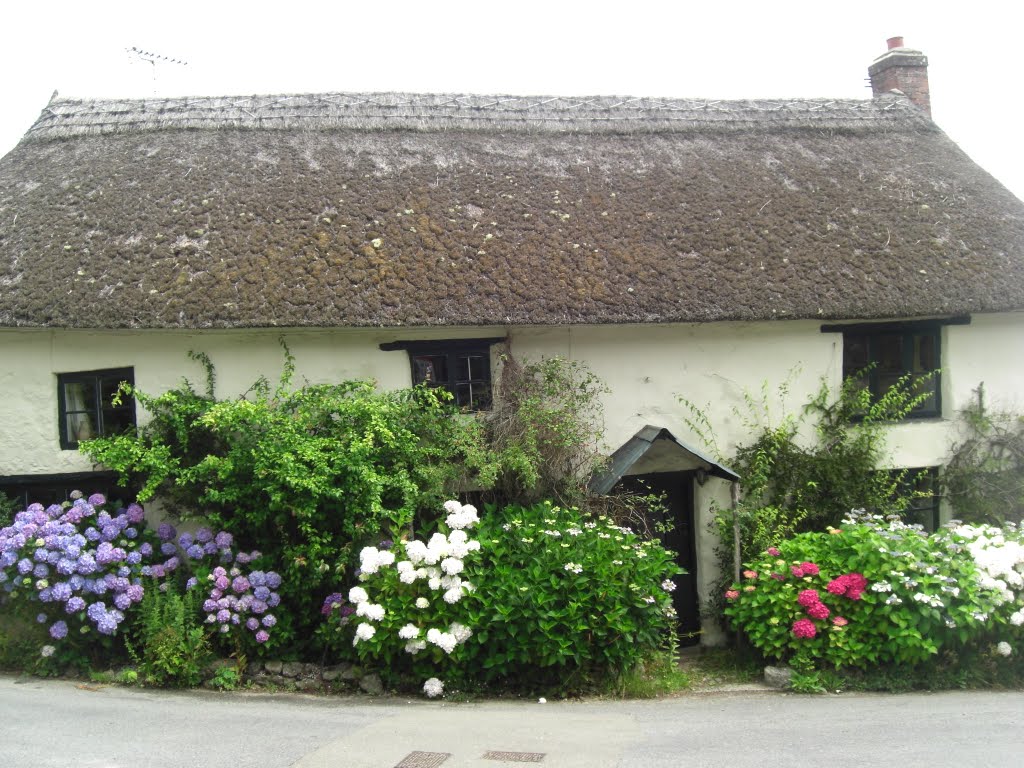 Throwleigh: A Cottage in Devonshire by evaB