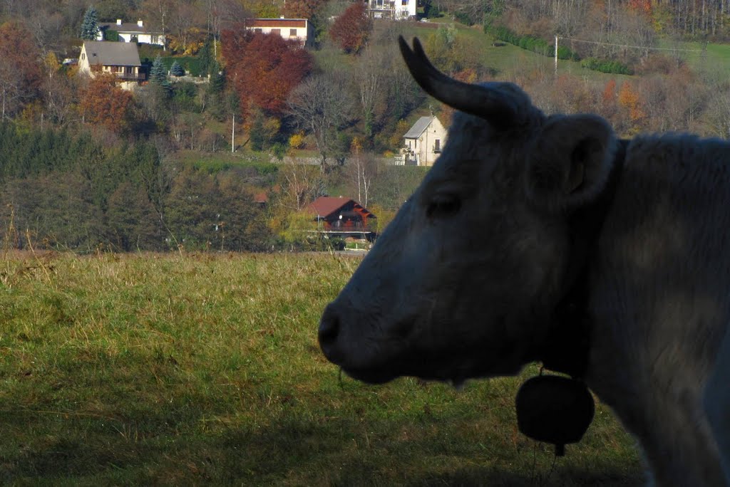 Cloche et profil de ruminant. by @ndré