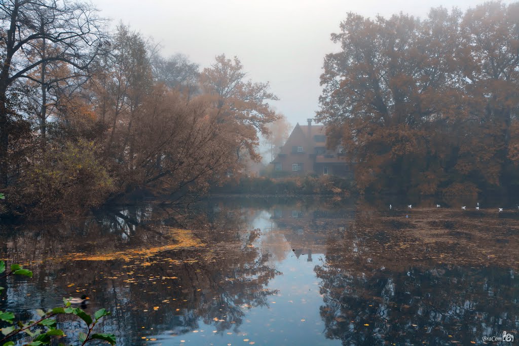 Autumn, Pond @ foggy morning by © BraCom (Bram)