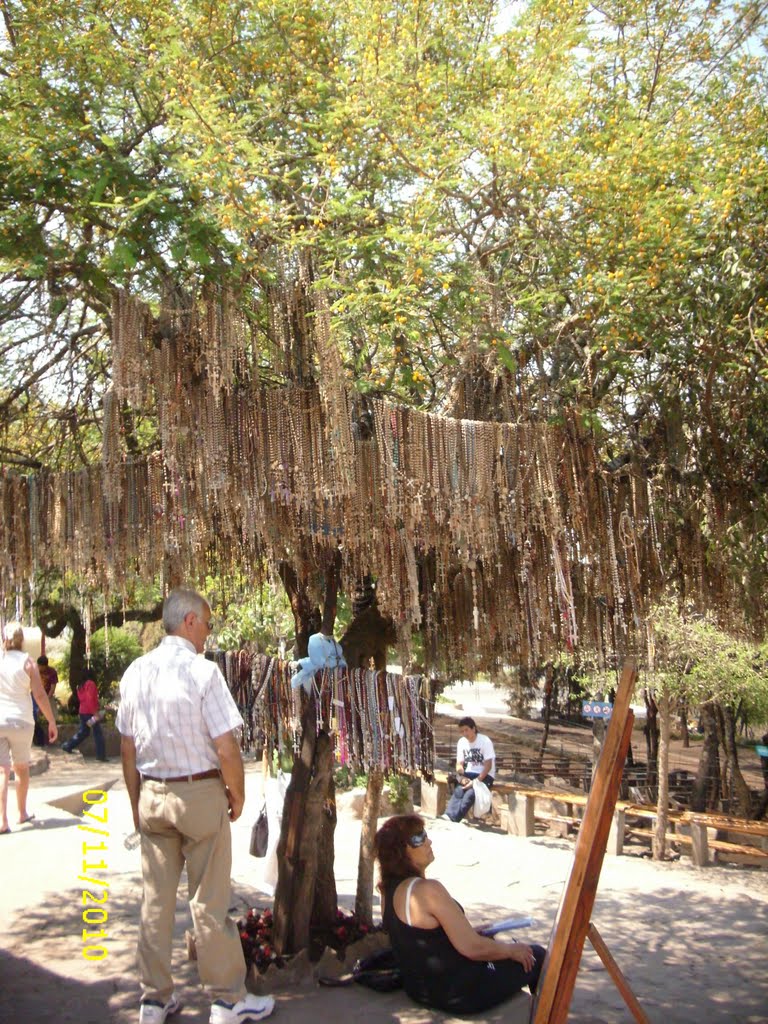 El árbol de los rosarios by Pancho 67