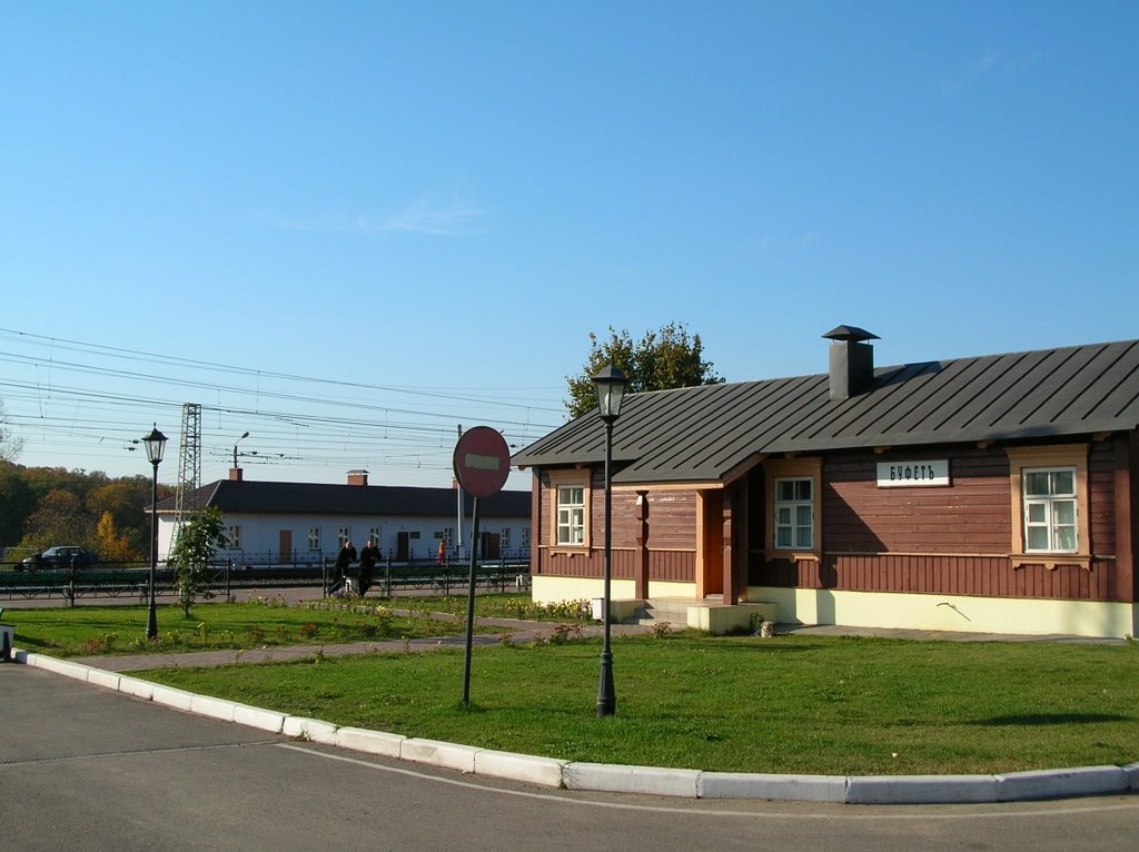 Station the Lev Tolstoy. Станция Лев Толстой. by Troitzky Pavel - Троицкий Павел