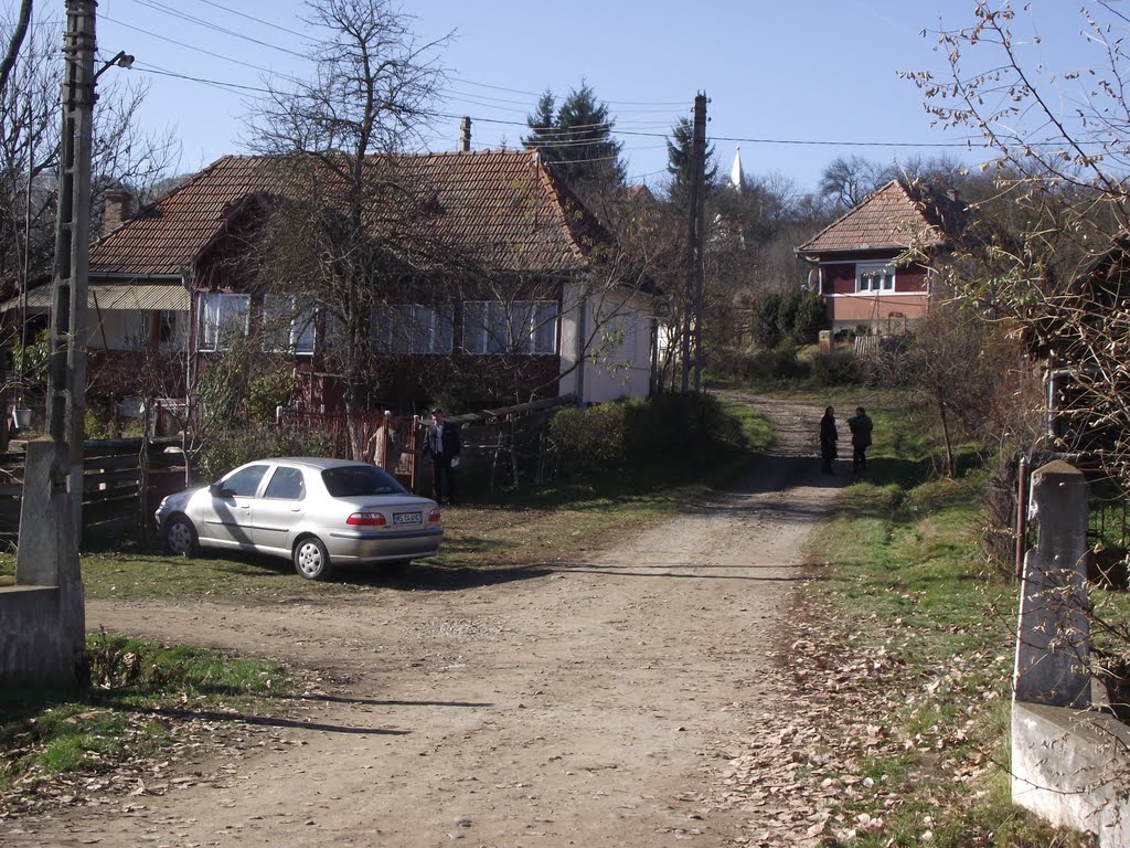 Toldal 547651, Romania by Dorin Gherman