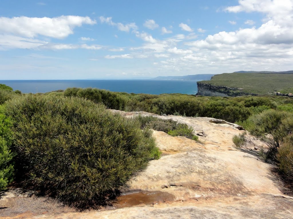 Sydney - Royal NP - Coast Track by Bill Gorski