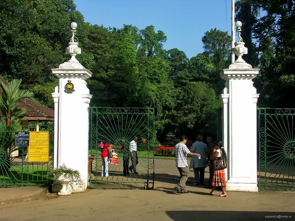 Sri Lanka Kandy Peradeniya botanical garden by Paparazzi Stas