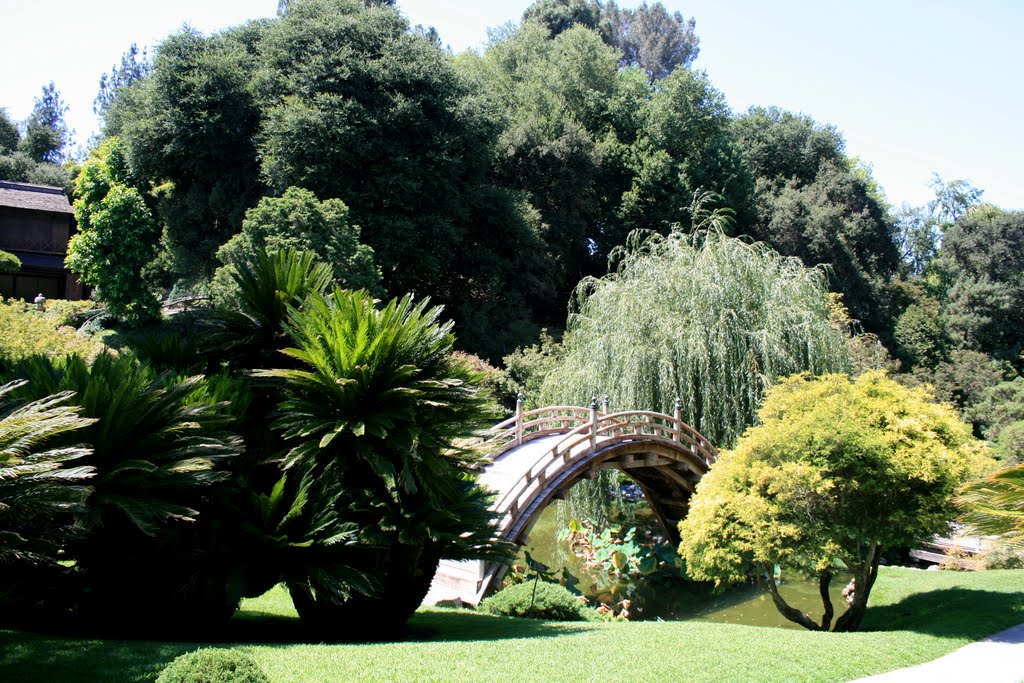 Huntington Library: il giardino giapponese by Francesco Giacomoni