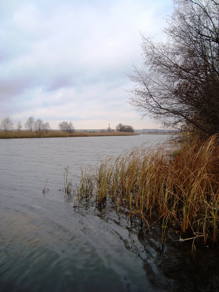 Anninsky District, Voronezh Oblast, Russia by Sergey Potapov