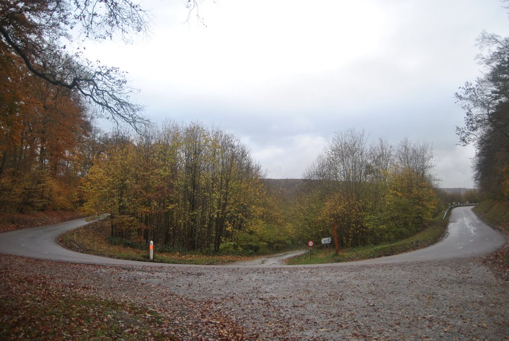 180° du virage de Beauval by Landry Lachèvre