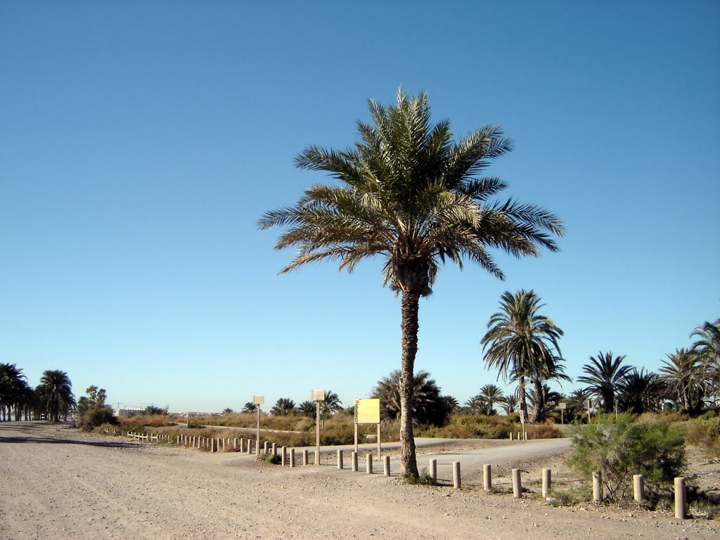 Puerta Verde de Roquetas de Mar by Robert Bovington