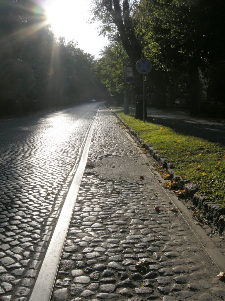 Дорога из прошлого. Правдинск (Friedland). Рельсы конки / The way from the past. The rails of horse-drawn tram by Юрий Бардун