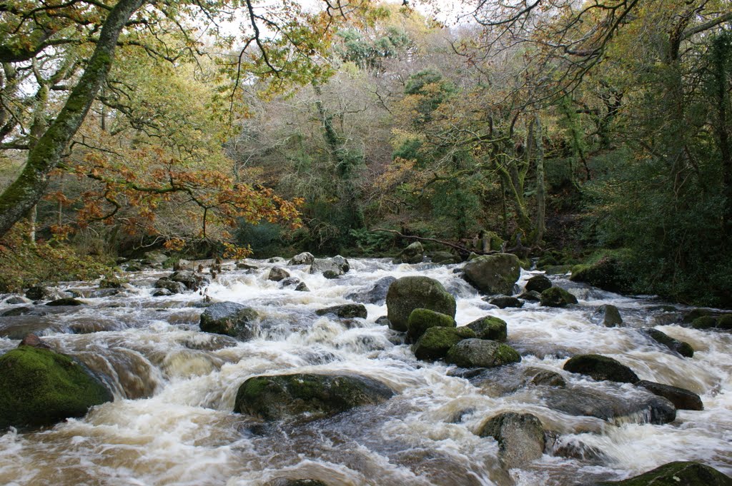 The River 2 by benkernow