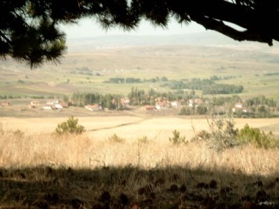 Tekkedeki çam ağacının dibinden köyün görünüşü by Bektas_Saydam