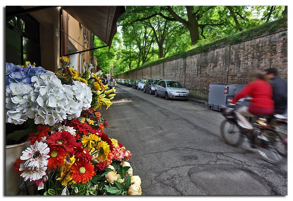 Via della Certosa by Mauro Mazzacurati