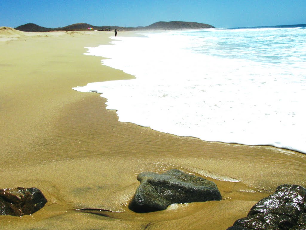 Beach north of Cabo San Lucas Mexico by nazcatrophyhead