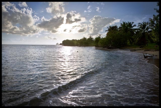 Desert, Sainte-Luce, Martinique by Melinda Walsh