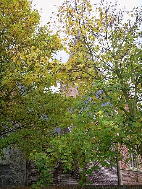 Belgium : Merelbeke : deelgemeente Schelderode : Sint Martinuskerk by tinawaldo